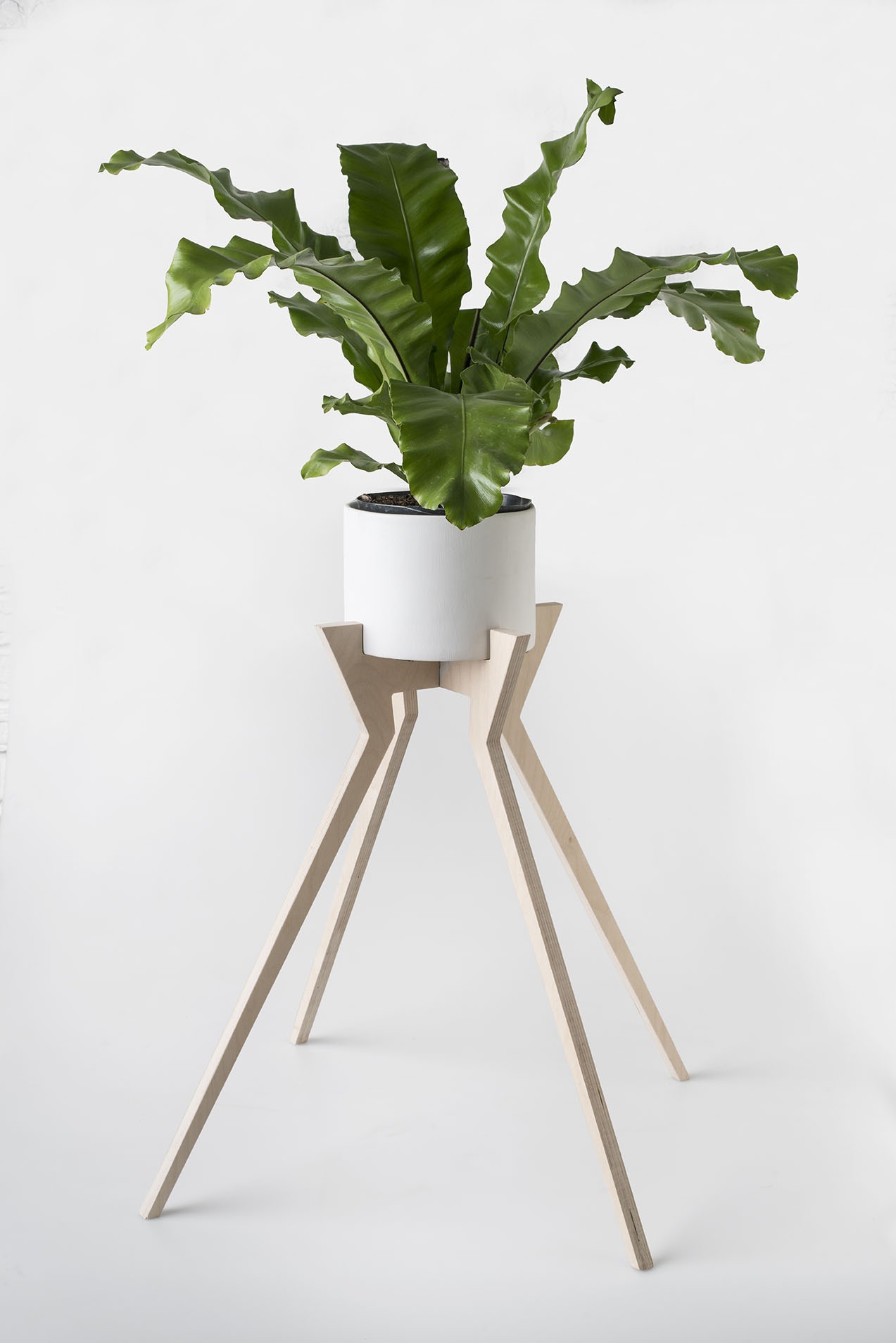 Xeno Pot Plant Holder
