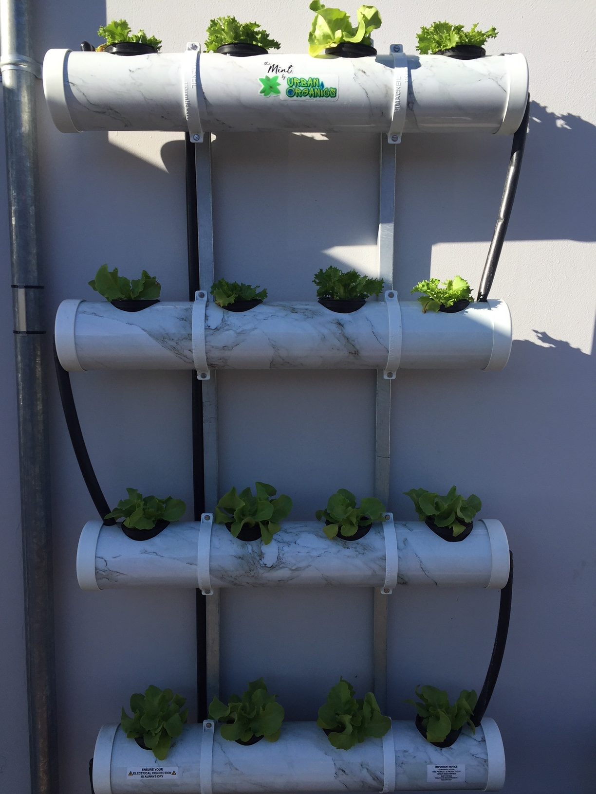 The Mint DIY Hydroponic System - RSA Made